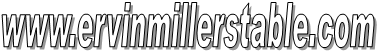 www.ervinmillerstable.com